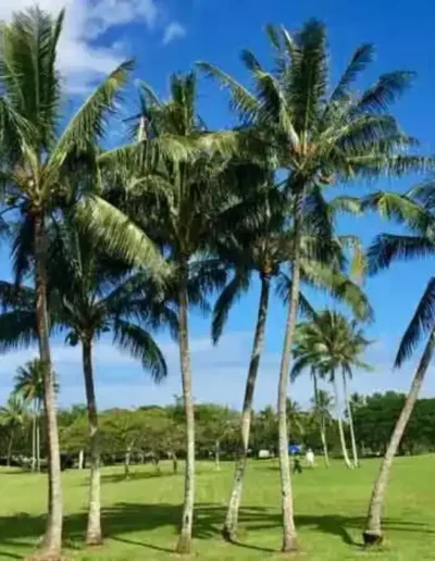 bayview golf course course 06